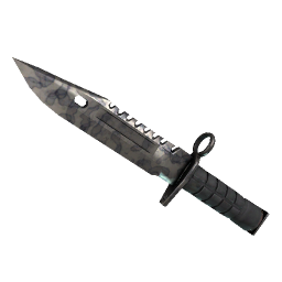 ★ StatTrak™ M9 Bayonet | Stained logo