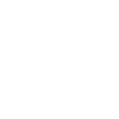 Americanas 100 BRL logo