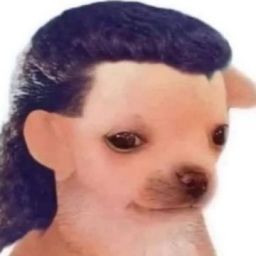 monkw avatar