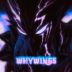 why_wings avatar