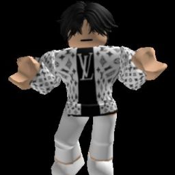 robloxhero12o345 avatar