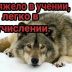 andrey_bezrukov_banka avatar