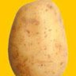 srbatata avatar