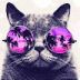 Tv_cat_34 avatar