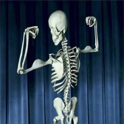 Skeleton2002 avatar