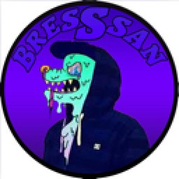 Bressiii avatar