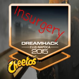 Insurgery avatar