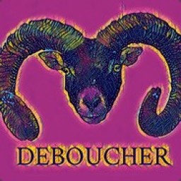 deboucher avatar