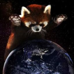 WildRedPanda avatar