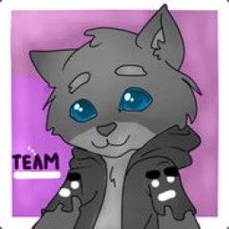 teamflajers avatar