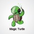 Turtle2k