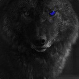 bloodywolf1 avatar