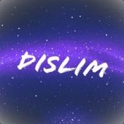 dislim avatar