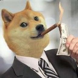 wagdoge_csmoney avatar