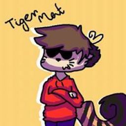 Tajgiii avatar