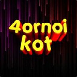 4ornoikot avatar