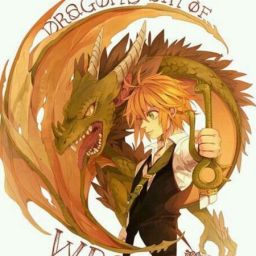 Meliodasdarc avatar