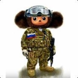 _cheburashka_ avatar