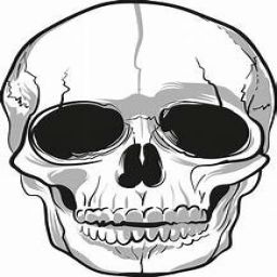 skull_space avatar