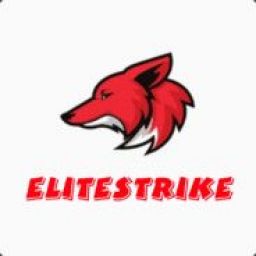 EliteStrike avatar