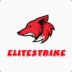 EliteStrike