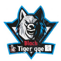 BlackTigerqqe avatar