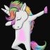 l1fehackers_i_love_unicorn