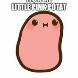 little_pink_potat avatar