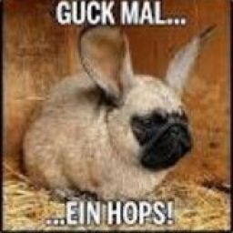 der_mops avatar