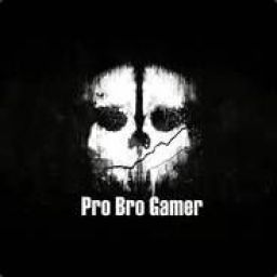 evos_bro_gamer_pro avatar