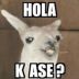 hola_k_ase