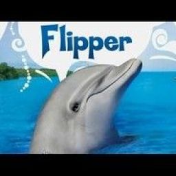 twitchtv__fillypper avatar