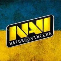 s1mple178 avatar