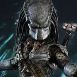 MCpredator avatar