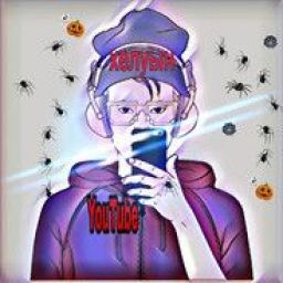 demlar_yt_1 avatar