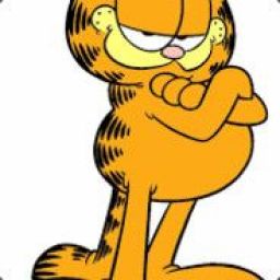 garfield9 avatar