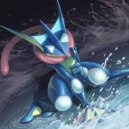 greninja_ggdropnet avatar