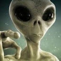 alien511 avatar