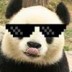 blakk_panda avatar