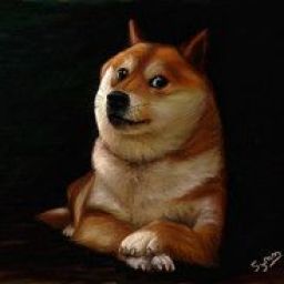 doggyip avatar