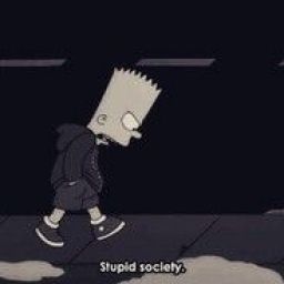 stupid_society avatar