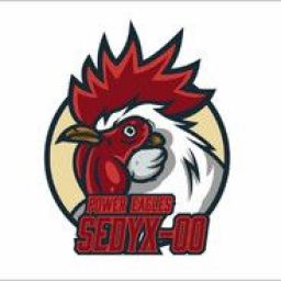 sedyx00_csfail avatar