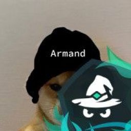 ArmandV avatar