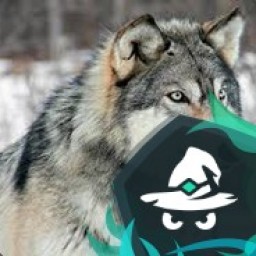 GreyWolf avatar