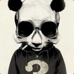 _panda_4 avatar