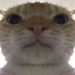rycon_official avatar
