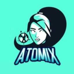 raptomix_twitch avatar