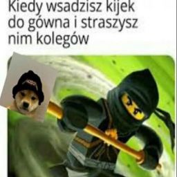 ROBLOX_POLISH_GUY avatar