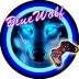 Bluewolf13 avatar