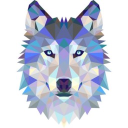 TFWolf avatar